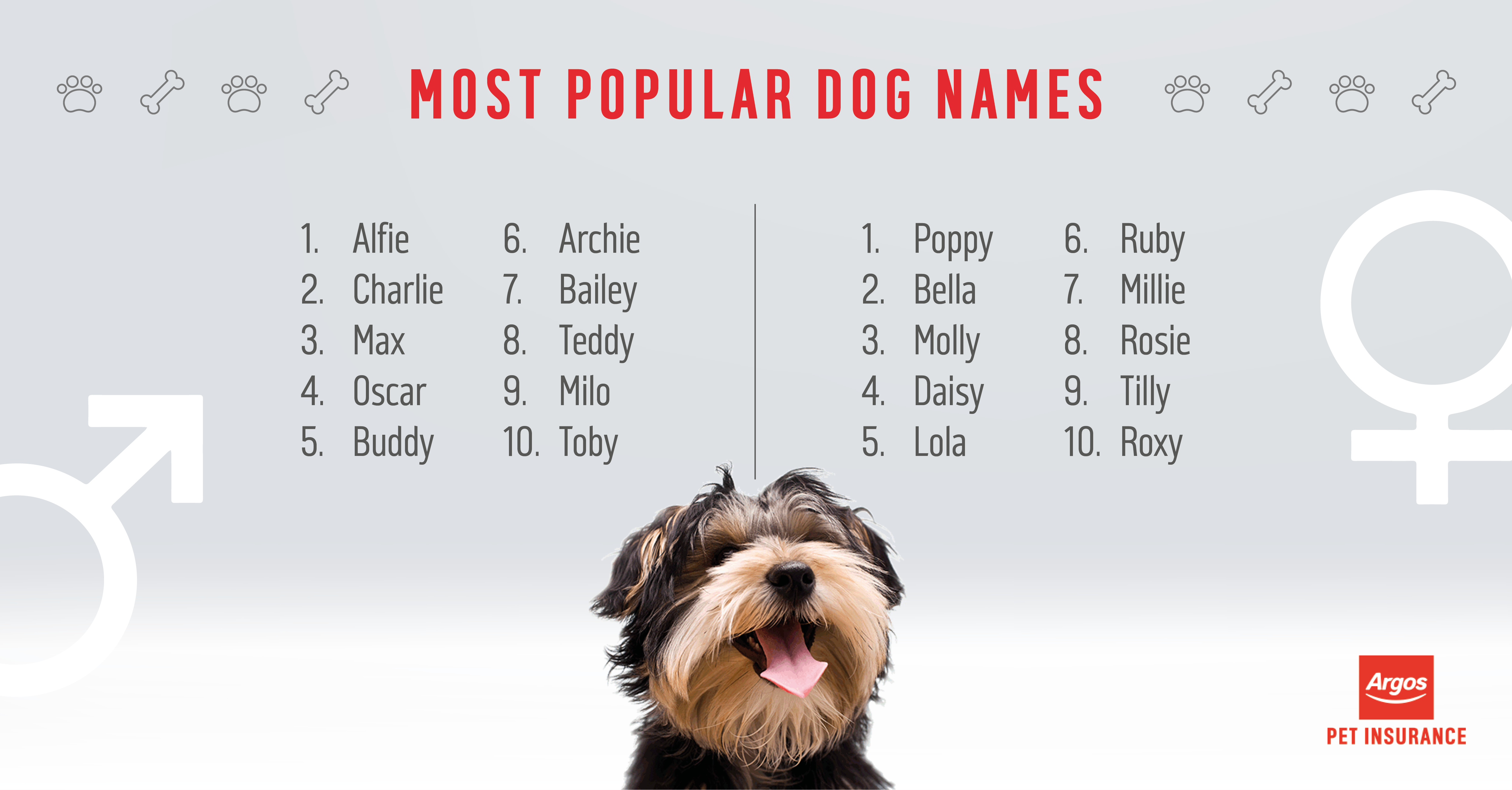 What Are The Most Popular Dog Names Argos Pet Insurance