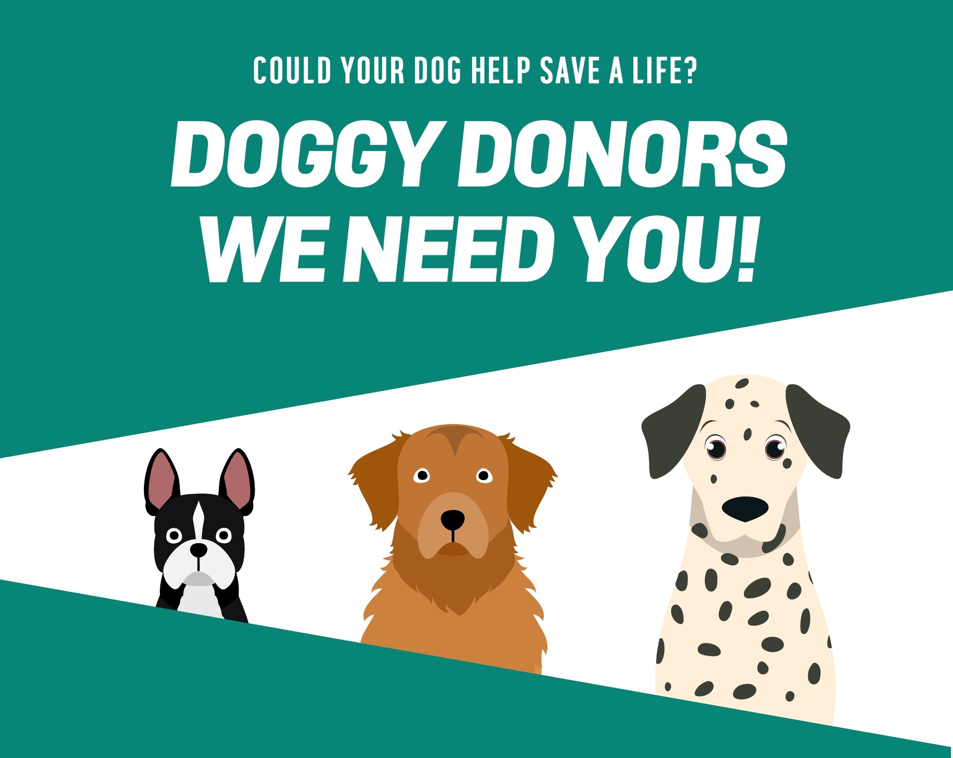 Dog Blood Donations Save a Dog's Life Argos Pet Insurance